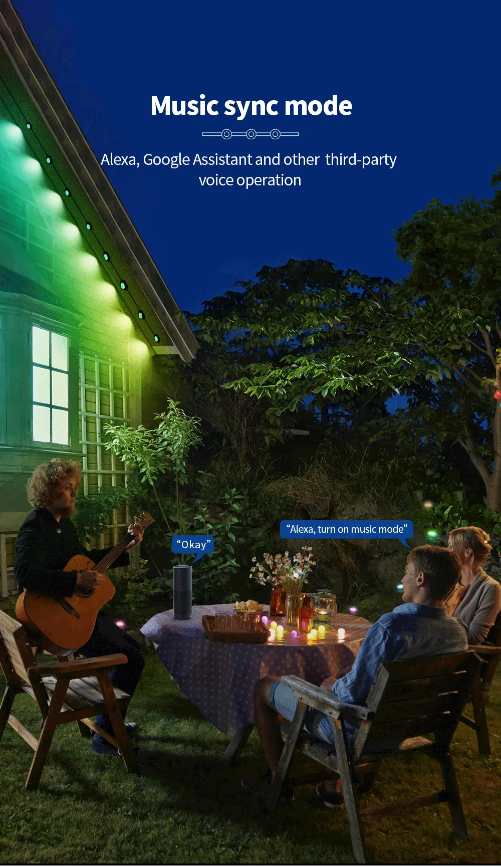 商用级户外圣诞灯防水，配有阿列克谢/应用控制永久安装