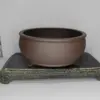 Púrpura