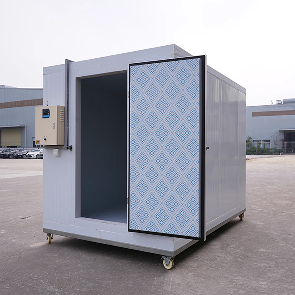 20ft Mini Easy Operate Cold Room Supplier Sale Container Commercial Refrigeration Compressor Unit Freezer Storage Room for Meat