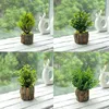 Juego de 4 plantas artificiales en maceta, diseño simulado.