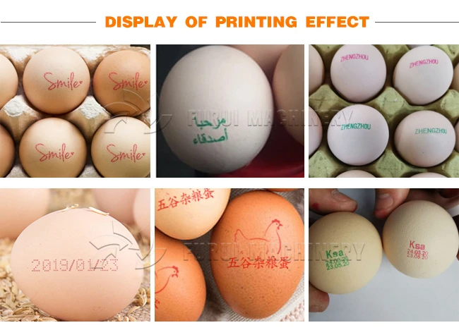 Automatic carton coding machine eggs number inkjet printer/egg printer machine