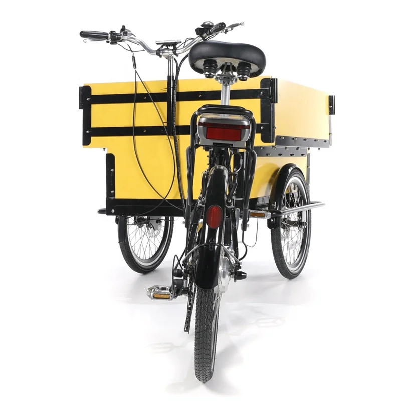 Front Loading Side Open Carriage Tricycle Lastenfahrrad Three Wheel Bike Electric Tricycles Cargo Bike Electric Bicycle