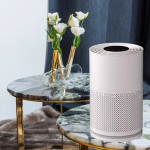 Oem Odm Smart Pm2.5 Portable Desktop Room Uv Hepa Filter Ionizer Smoke Home Air Purifier