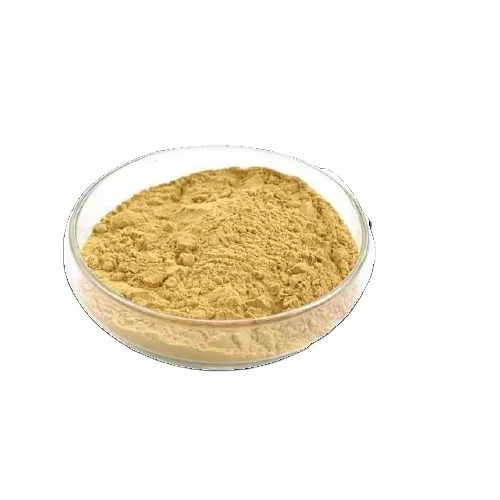 GMP bulk wholesale 100% Natural pure Organic Bee Propolis Extract Powder