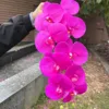 Rojo púrpura intenso