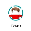 TV1314