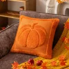 Zucca grande arancione