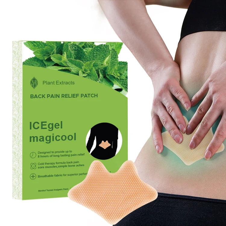 Back Pain Patches Extra Strength Flexiback Lumbar Spine Pain Relief Patches Lower Back Pain at Spine