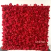 Rouge 1
