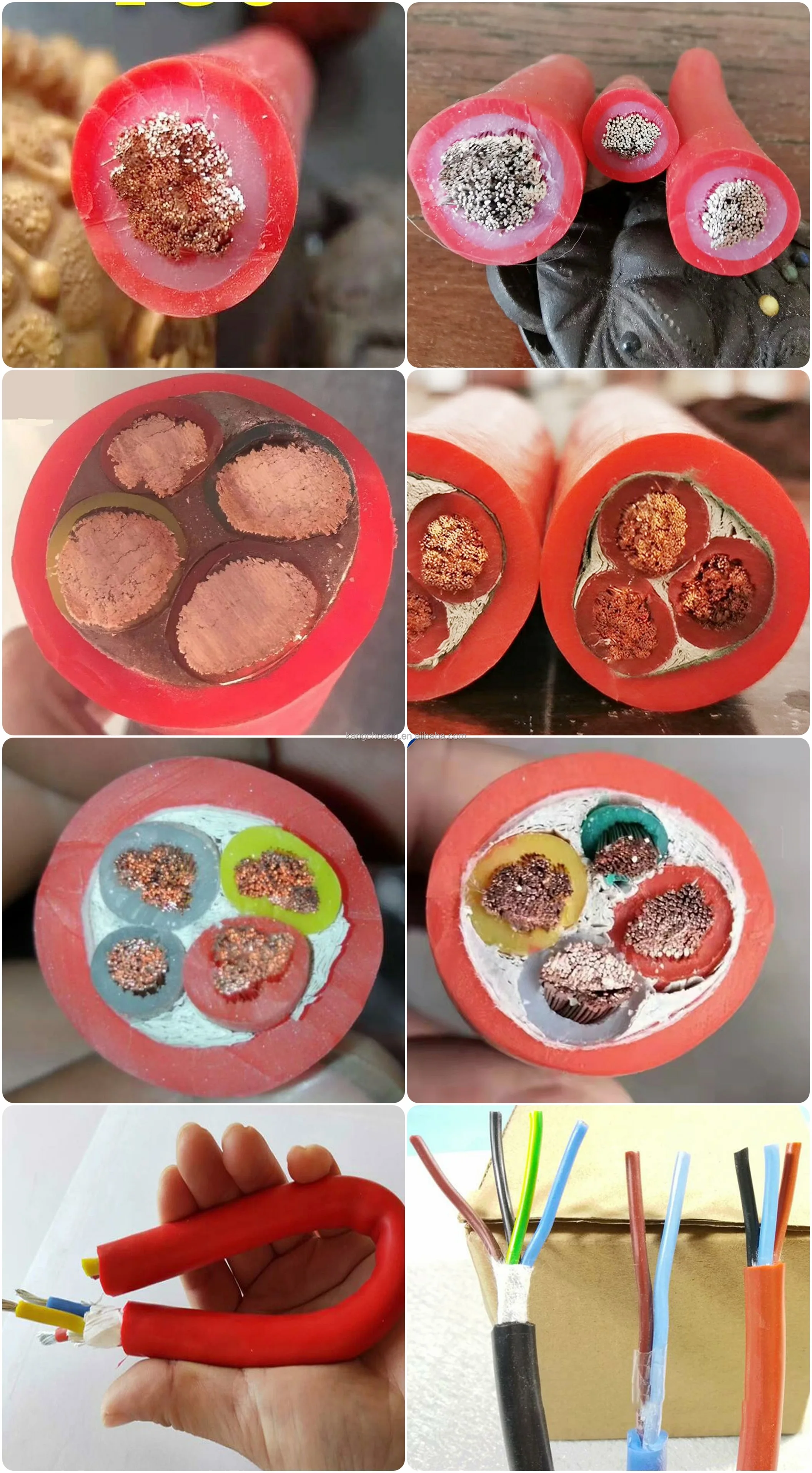 .jpg