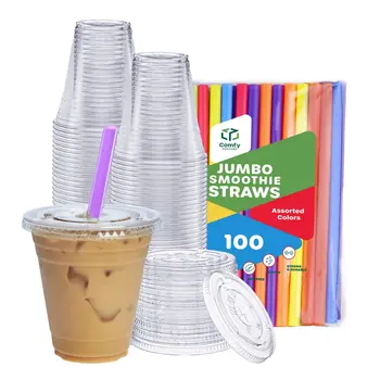 Recyclable Food Grade Disposable 12oz 300ml PET Clear Plastic Drink Cup for Cold Coffee