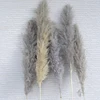Grigio naturale (60-80/>80cm disponibili)