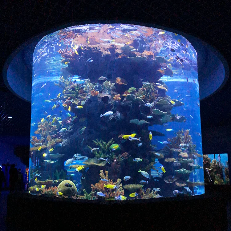 Custom 500L Big Size Large Round Fish tank Aquarium