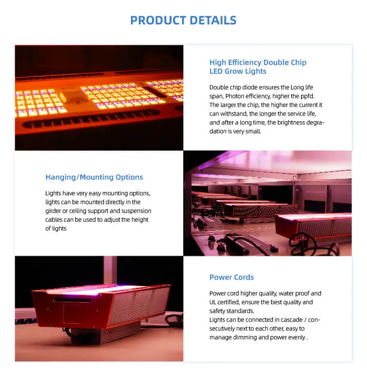 GrowSpec Professional Horticulture Lighting 650W LED Top Grow Light for Greenhouse Outdoor Farm
