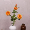 สีส้ม