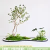 Little Banyan Leaf Set