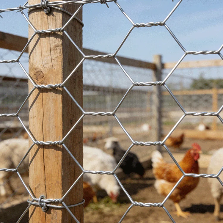 Hot Sale Chicken Cage Coop Fence Wire Mesh Rolls Hexagonal Wire Mesh Netting
