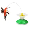 Bird design-random color