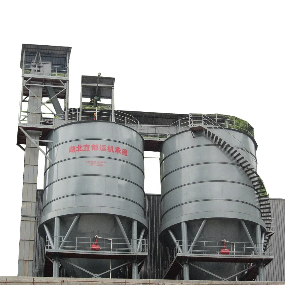 Professional Custom Large Capacity Steel Bucket Elevator for Limestone/Clinker/Gypsum Material Lifting New Condition