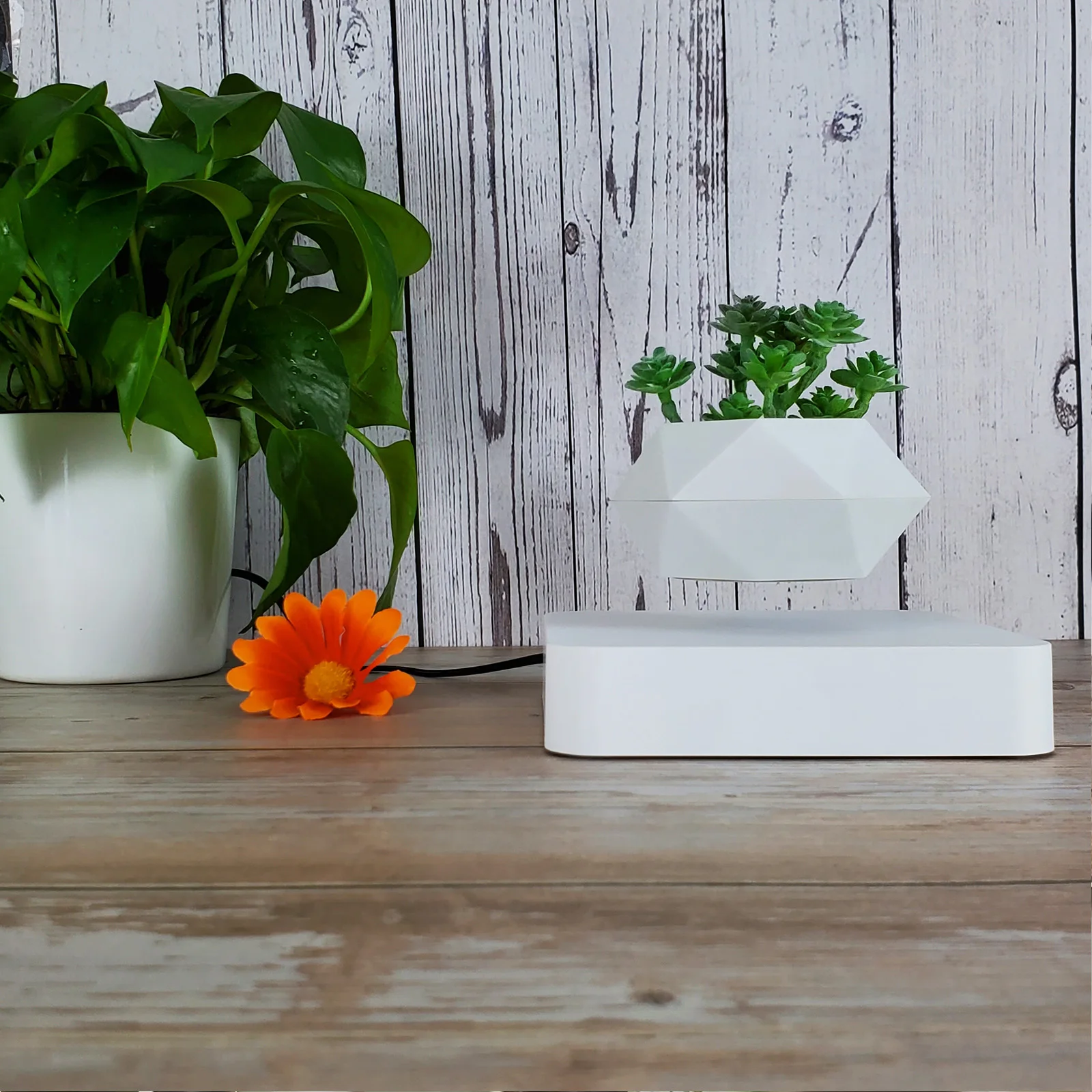 Wholesale Bulk Cheap Creative Design High Quality Garden Decoration  Levitatiing Plant Pots