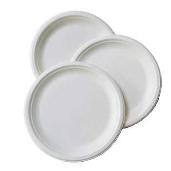 Disposable Biodegradable Compostable Sugarcane 10 Inch Round Plate Larger Party Plate 240510