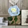 Il mio-singolo grande rosa-blu e bianco