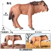 Colorido M-066 cerval joven