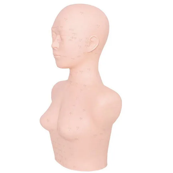 Skin management human body model head beauty salon head model