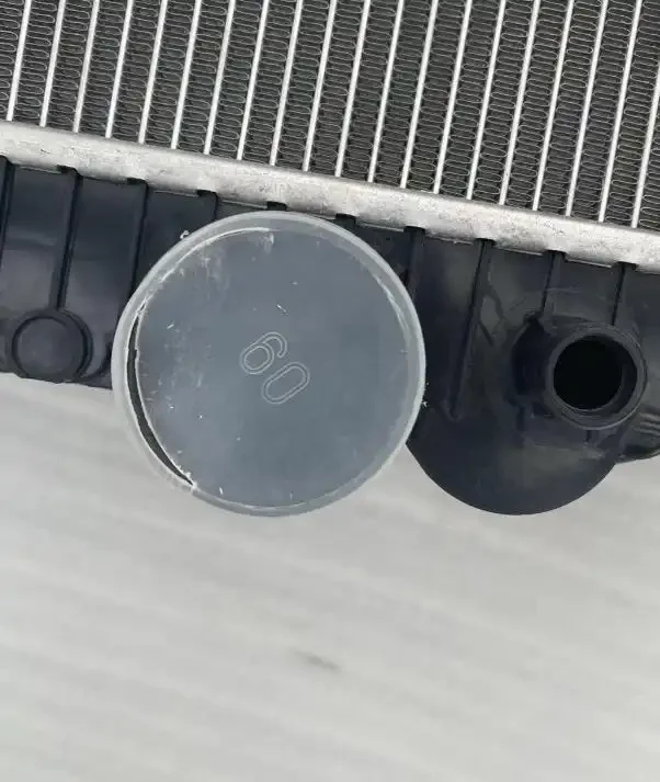 TORAY将鱗あゆL-WHITE0.03  0.05  0.08号12M Nissin Zerosum Oni Tenkara Honryu 395 (7:3) - 13 ft