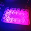 12 Shot Tray