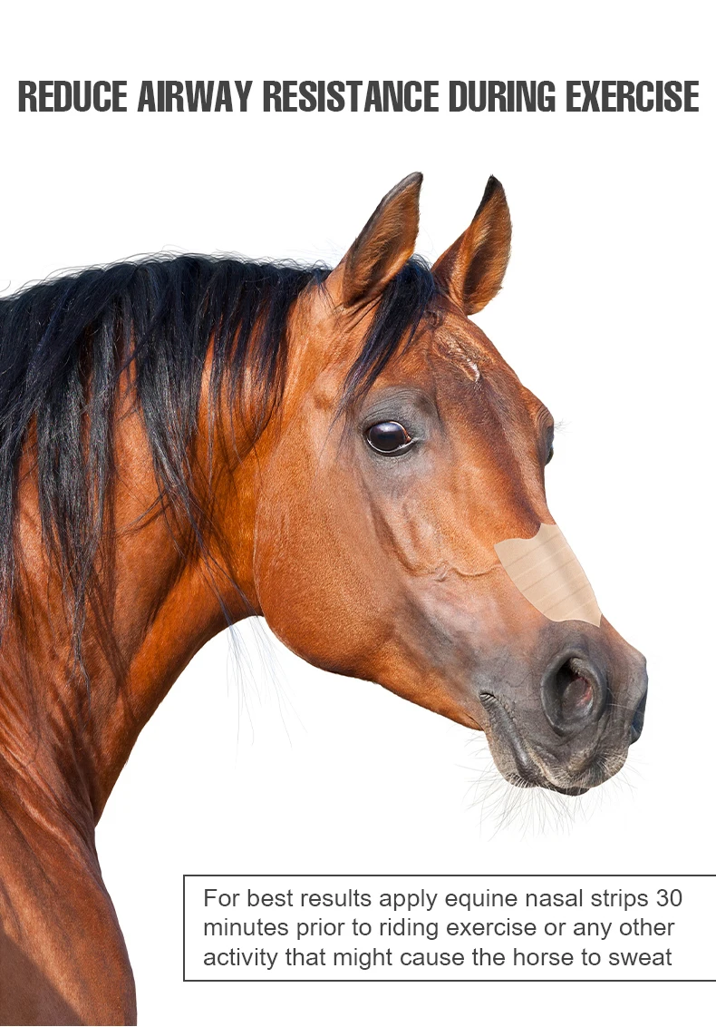 Equine Nasal Strips Equine Nasal Strip Skin Color Standard Buy Horse