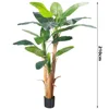 210cm high, 21 leaves, green
