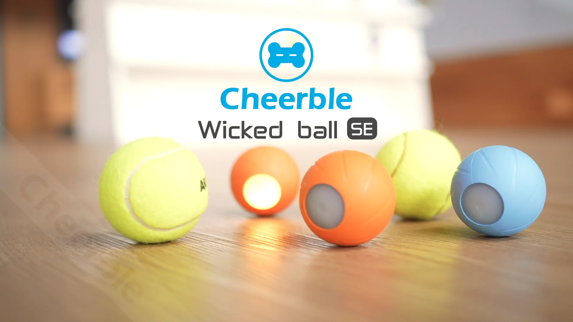 Cheerble Wicked Ball Smart Interactive Dog Toy Chew Ball Pet Toy Automatic Dog Ball The Cats And