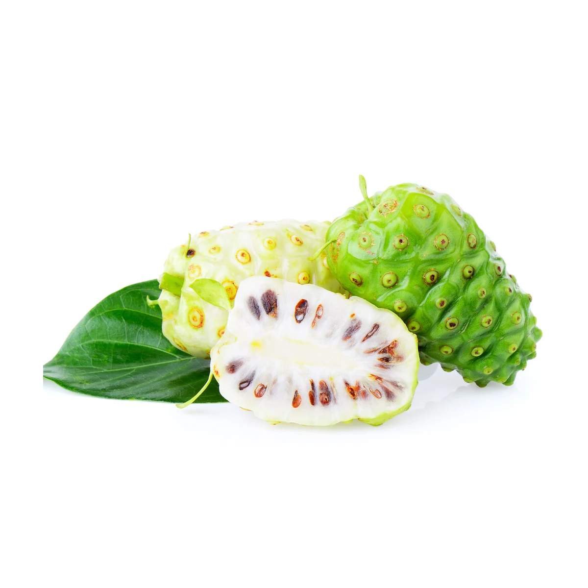 100% Wild Organic Noni Pure Juce 1L/100L/1000L Samoa NONI Fruit Juce Supplier
