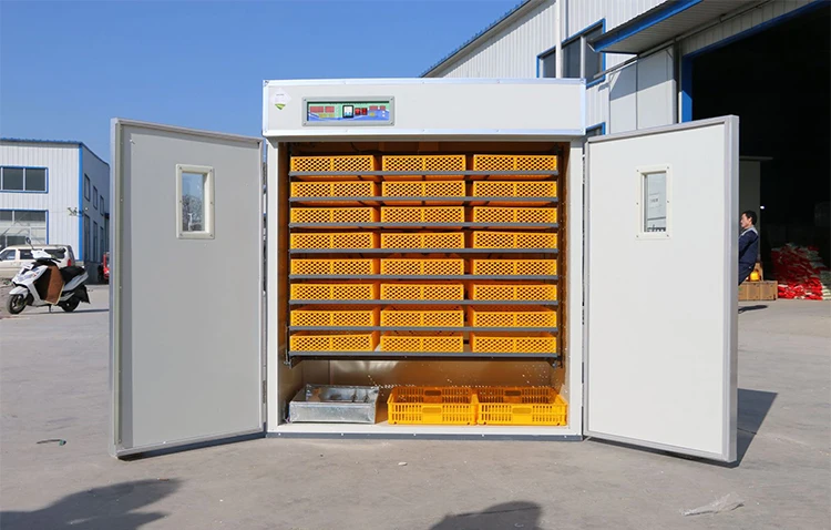 Fully Automatic Chicken Egg Incubators Hatching Machine Solar Incubator ...