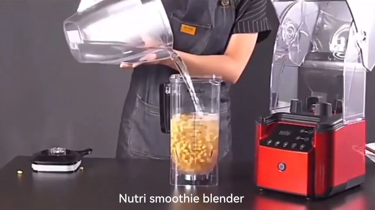 Quiet Professional Fruit Juicers Maker Commercial Nutri Blender