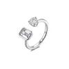 R21307-Plata
