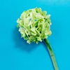 ortensia verde