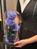 Galaxy III