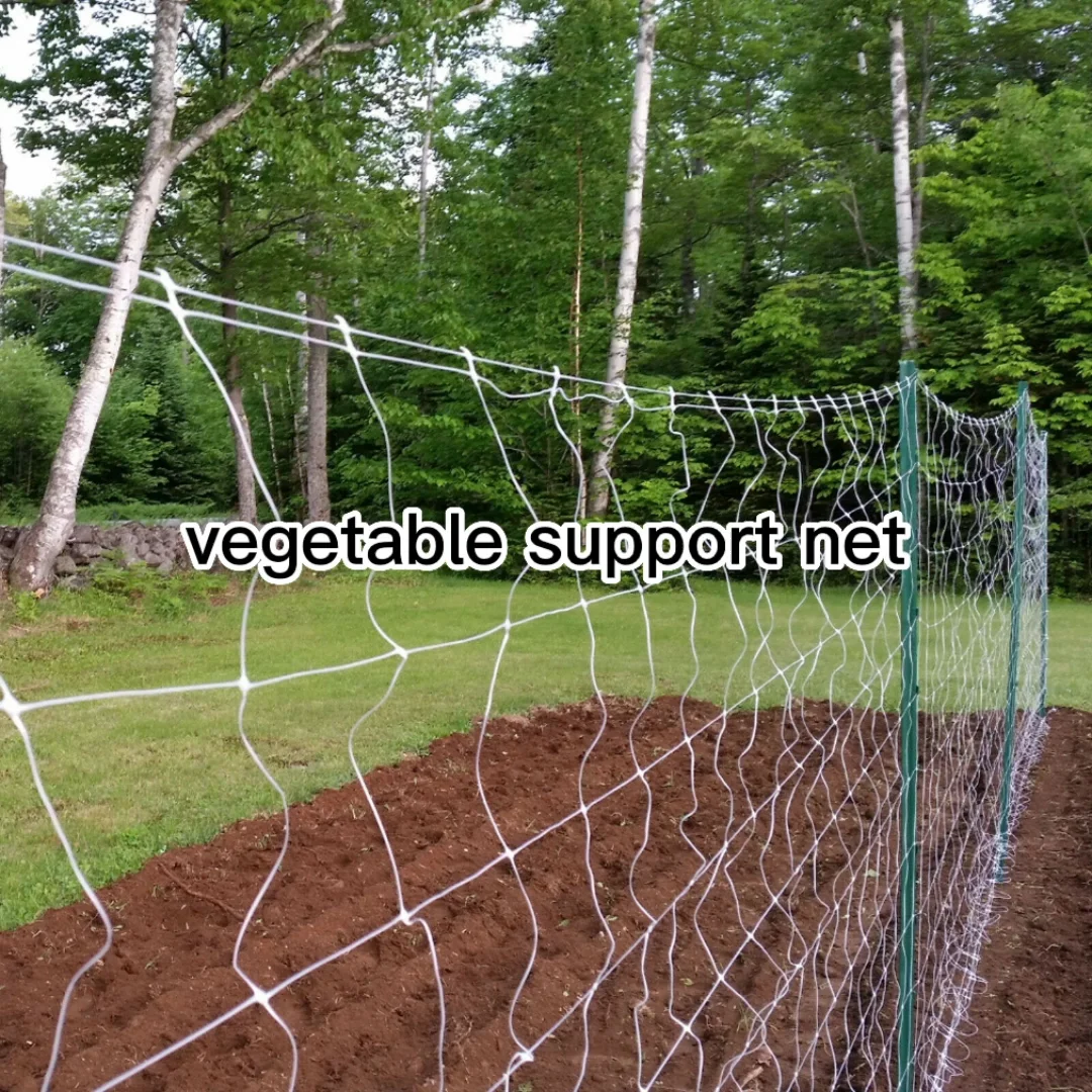 Plastic Climbing Plant Support Mesh/gardening Net /bean & Pea Netting