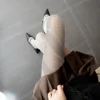 Kaki