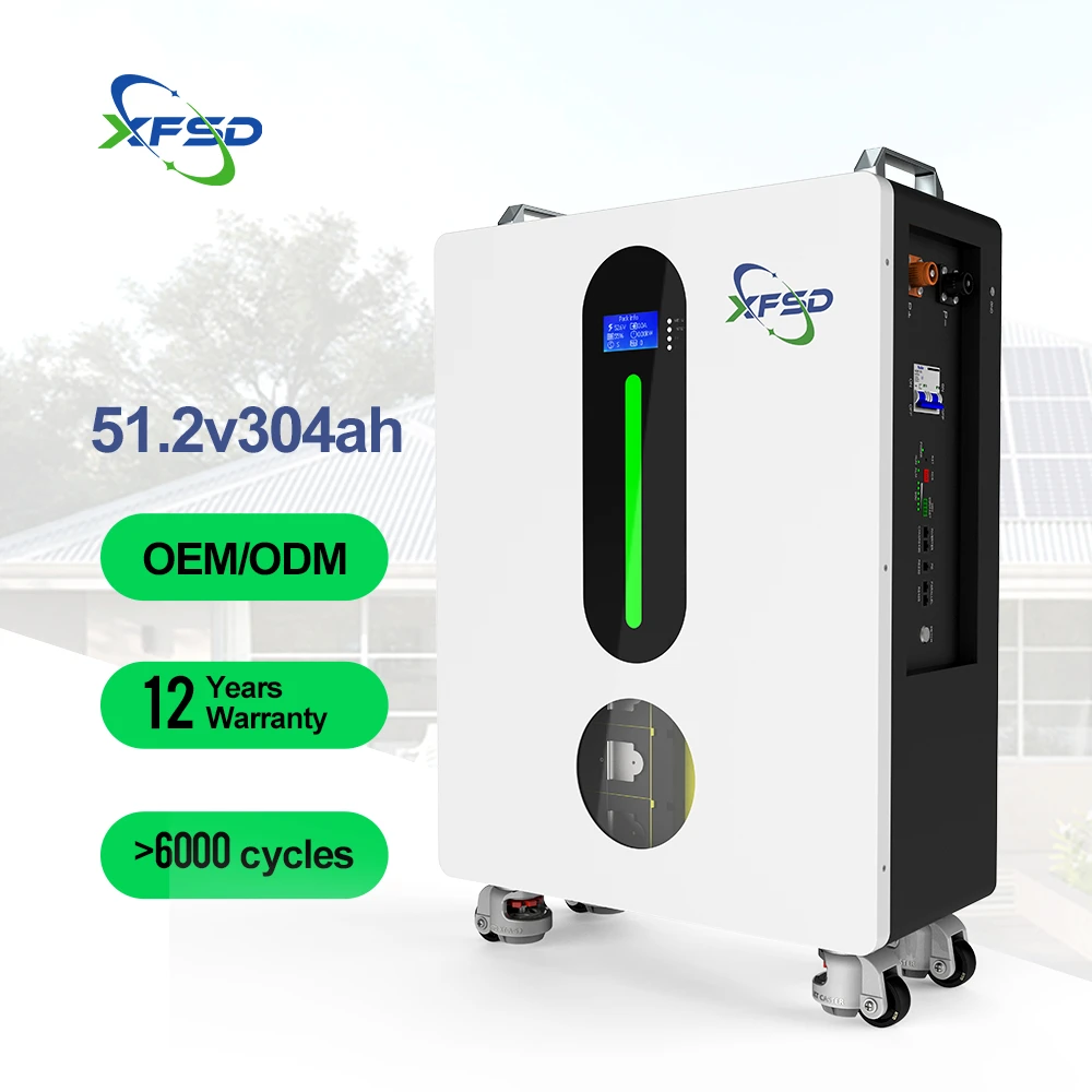 Hots Sales 51.2v 15kwh 300ah Floor Standing Lithium Battery 48v 200ah Lifepo4 Home Solar Storage Rechargeable Battery factory