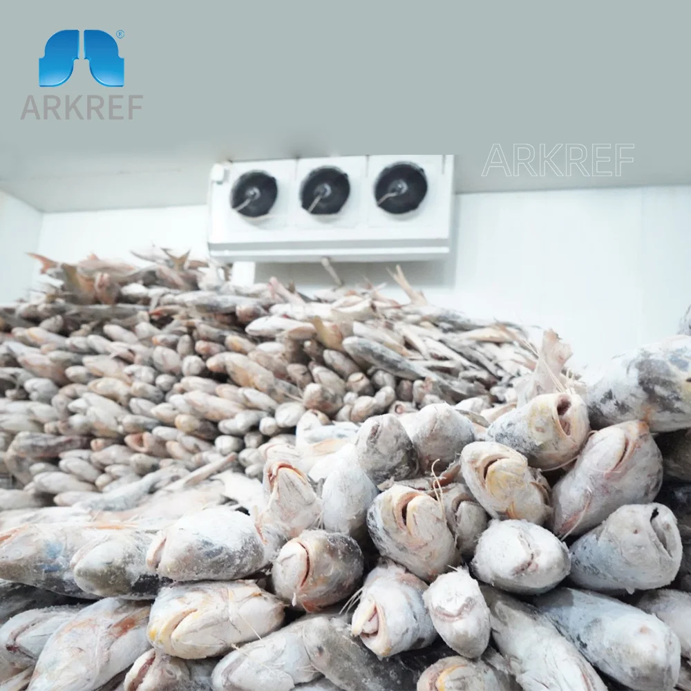 Arkref Refrigeration 55 degree Ultra Low Temperature Blast Tuna Fish