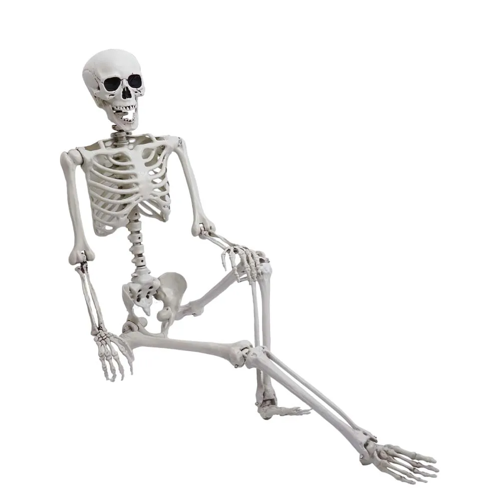 Large Human Skeletons Halloween Props Life Size Full Body Human Movable ...