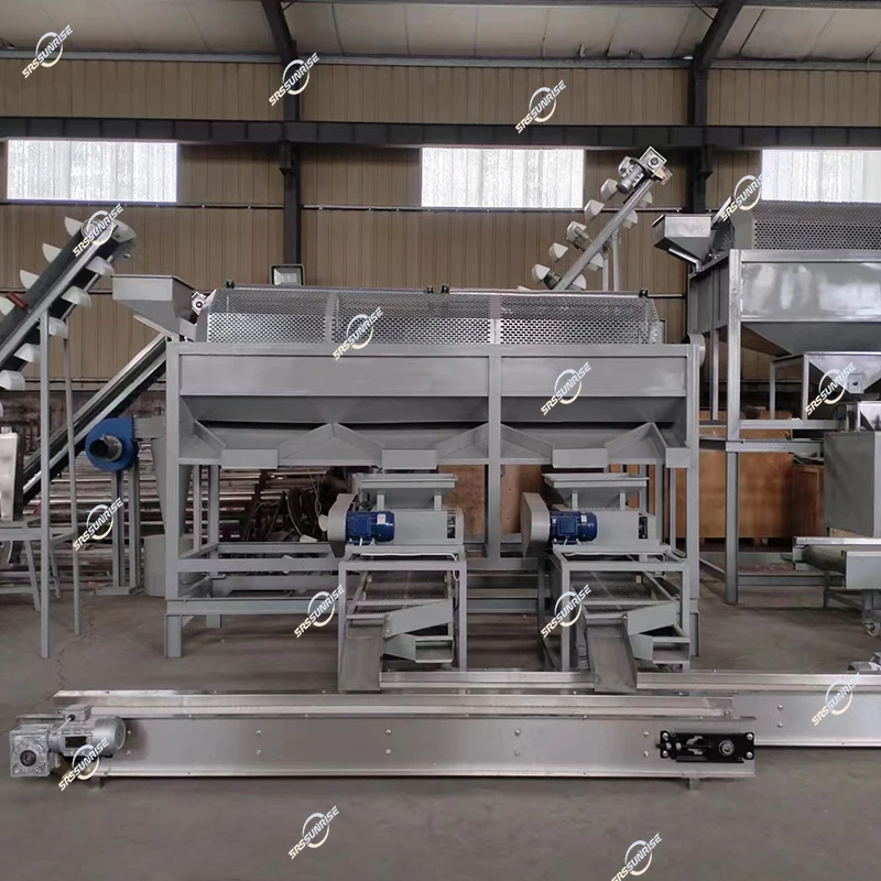 Manufacturer Equipment 300kg 500kg 1000kg Automatic Palm Apricot Kernel Hazelnut Almond Processing Production Line