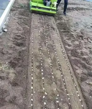 Трехточечный трактор для сельского хозяйства, семена шпината, буровая машина для посадки чеснока на продажу