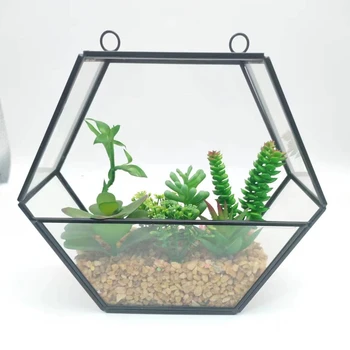 Black Small Inclined Cube Clear Decorative Plante Geometric Glass Terrarium
