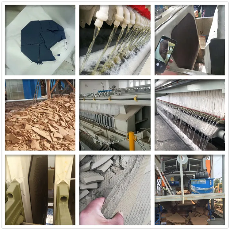 China Automatic Palm Kernel Oil Filter Press Machine for Sale