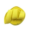 Amarillo S17