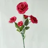 Long only 5 fresh rose red